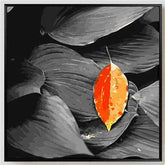 Painting by Numbers Leaves Black and White